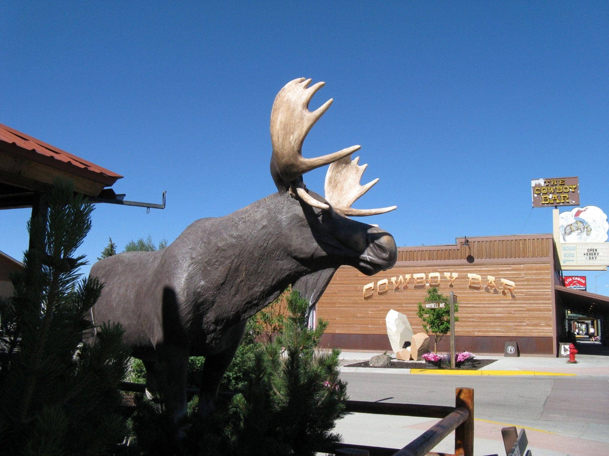 Moose sculpture
