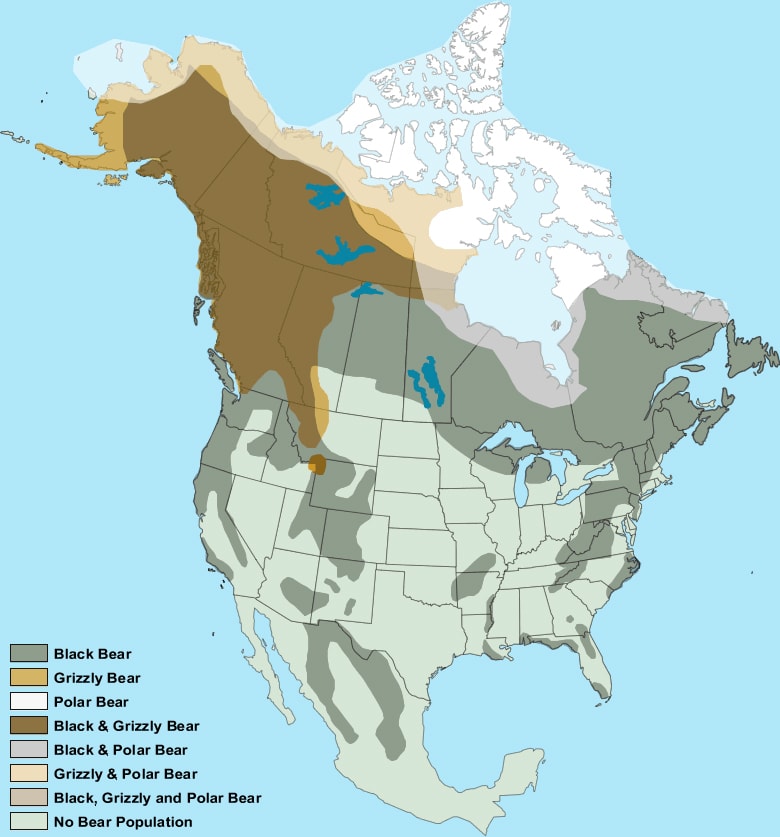 Map showing the ranges of bears in North America.